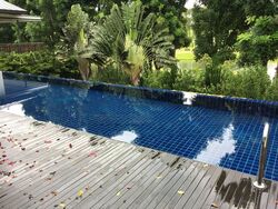 Sentosa Cove (D4), Detached #425909061